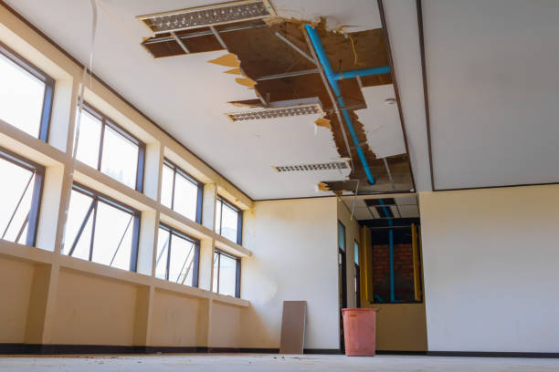 Best Residential water damage restoration  in Oak Hill, WV