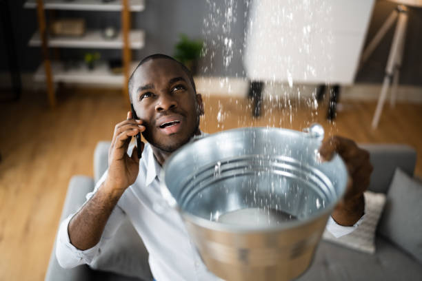 Best Water damage restoration near me  in Oak Hill, WV