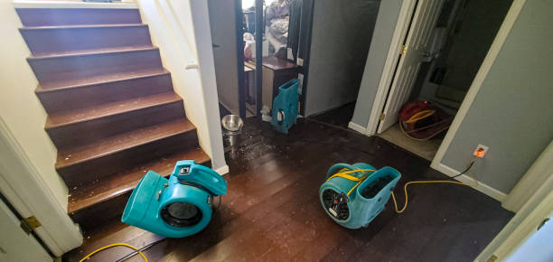 Best Water damage repair service  in Oak Hill, WV