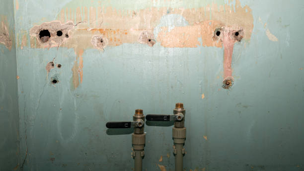 Best Water damage restoration insurance claims  in Oak Hill, WV