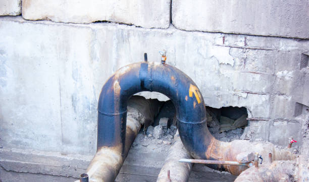 Best Professional water damage repair  in Oak Hill, WV