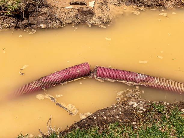 Best Water damage contractors near me  in Oak Hill, WV