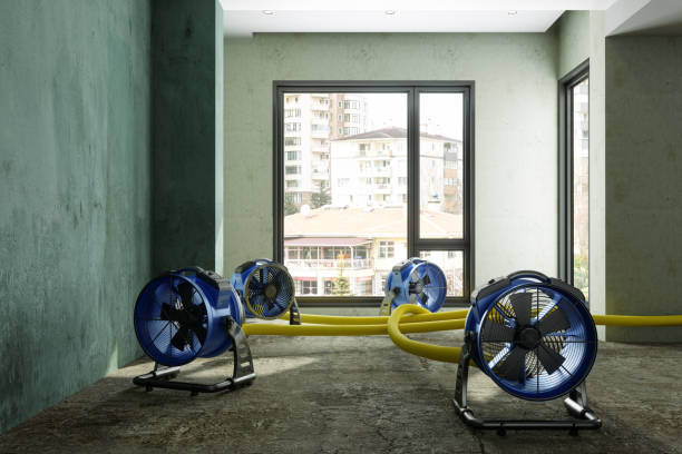 Best Sewage cleanup and water damage restoration  in Oak Hill, WV